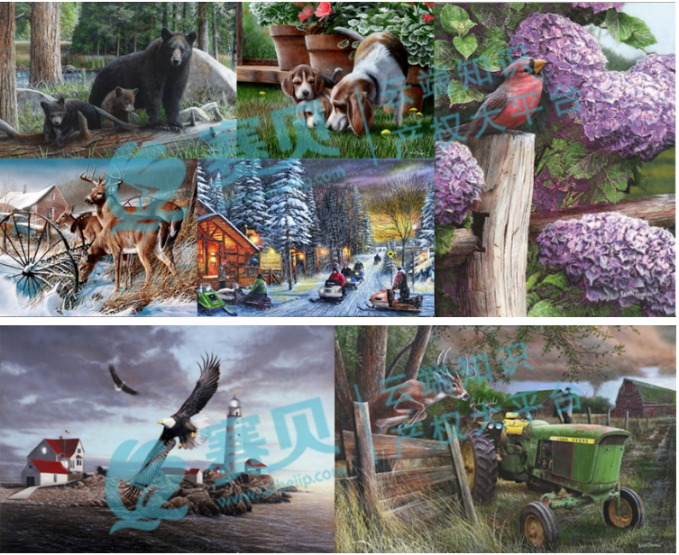 文章内容插图图片