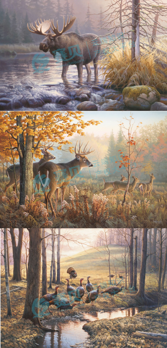 文章内容插图图片