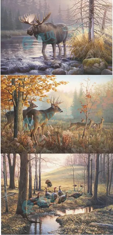 文章内容插图图片