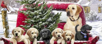 【25-cv-9259】圣诞侵权雷区！Macneil Studio 2张爆款画维权！（内附2025圣诞版权画合集）