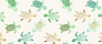 【25-cv-9219】海龟与仙人掌盆栽版权TRO，家居文创类卖家注意避坑！Tane Hannah Meets作品侵权预警！