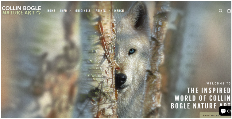 文章内容插图图片