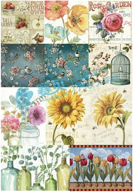 文章内容插图图片