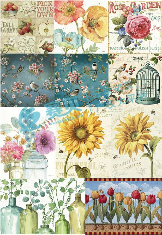 image.png 文章内容插图图片