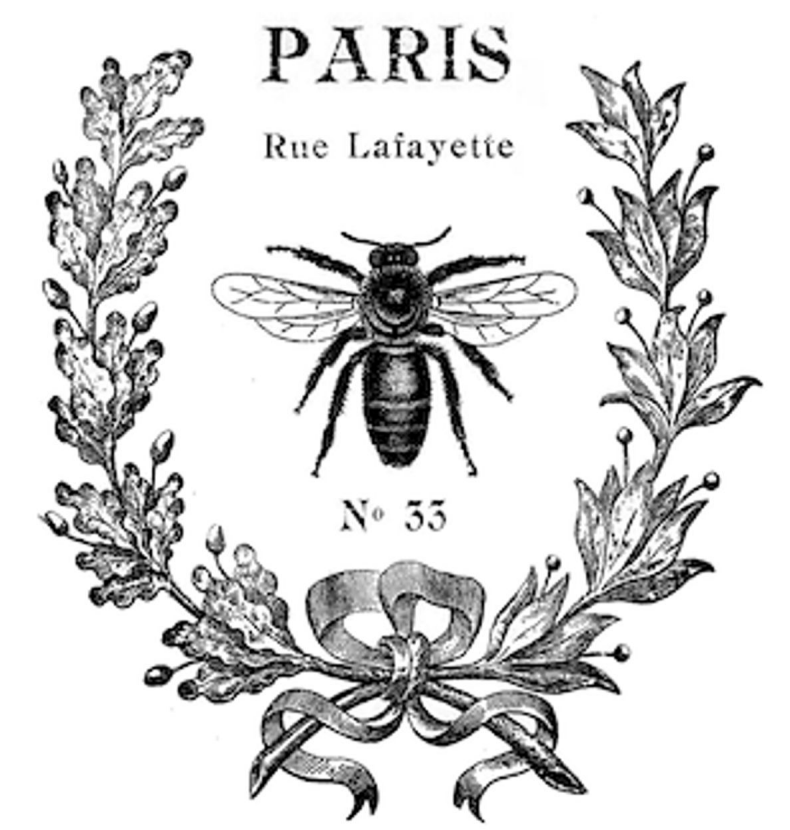 【25-cv-10503】Venus Pike版权TRO来袭！《Paris Bee》作品维权，目前未冻结账户！