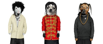 【25-cv-10575】又一批店铺要冻结？14个PETS ROCK宠物角色版权TRO维权，跨境卖家注意避雷！